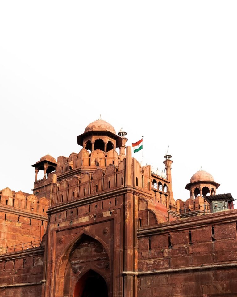 DELHI RED