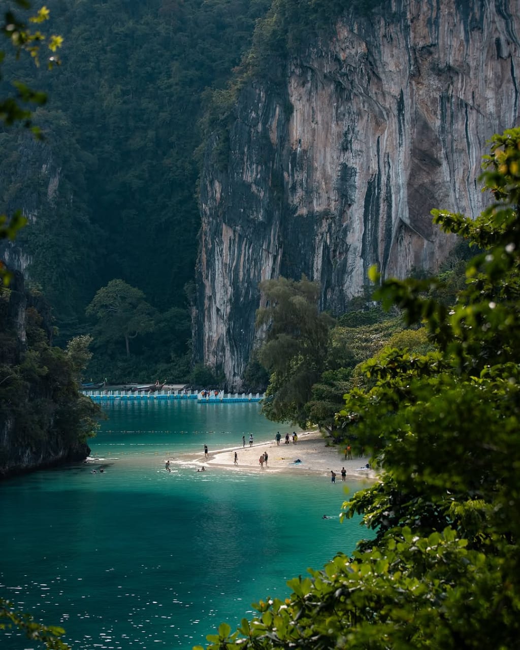 what to do in thailand
