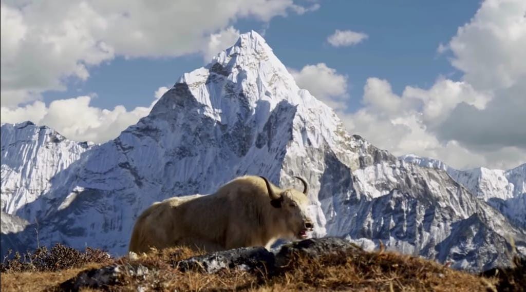 leh